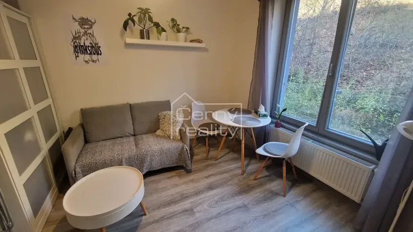 Pronájem bytu 1+kk, Chrudim, Podkopanický mlýn, 30 m2