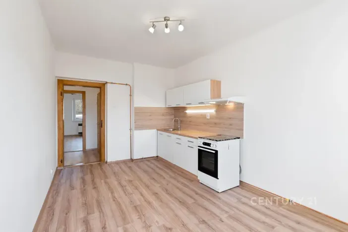 Pronájem bytu 1+1, Děčín, Riegrova, 37 m2