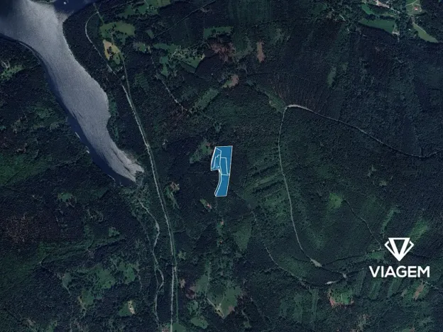 Prodej podílu lesa, Morávka, 4 m2