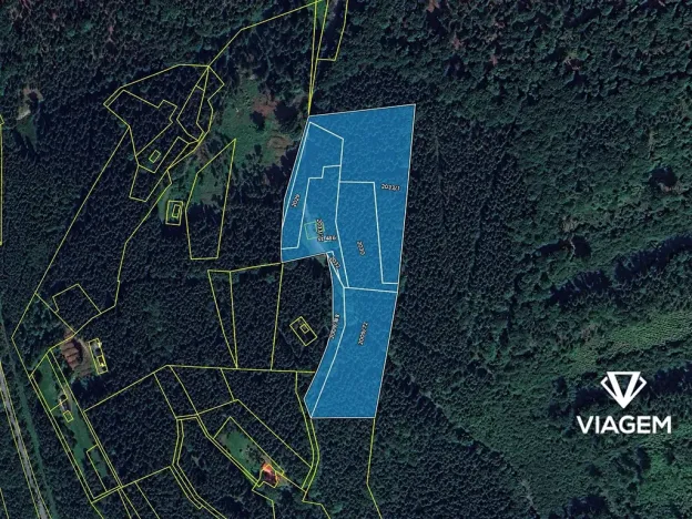 Prodej podílu lesa, Morávka, 4 m2