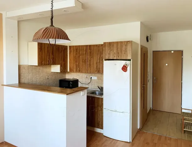 Pronájem bytu 1+1, Chodov, Čs. odbojářů, 36 m2