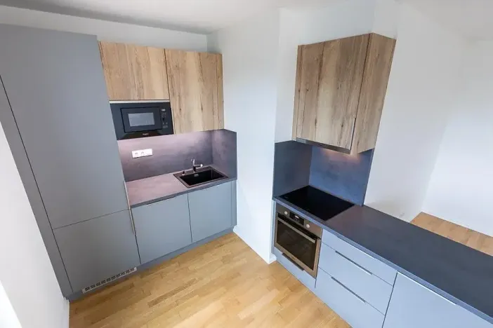 Prodej bytu 2+kk, Praha - Žižkov, U Viktorie, 63 m2