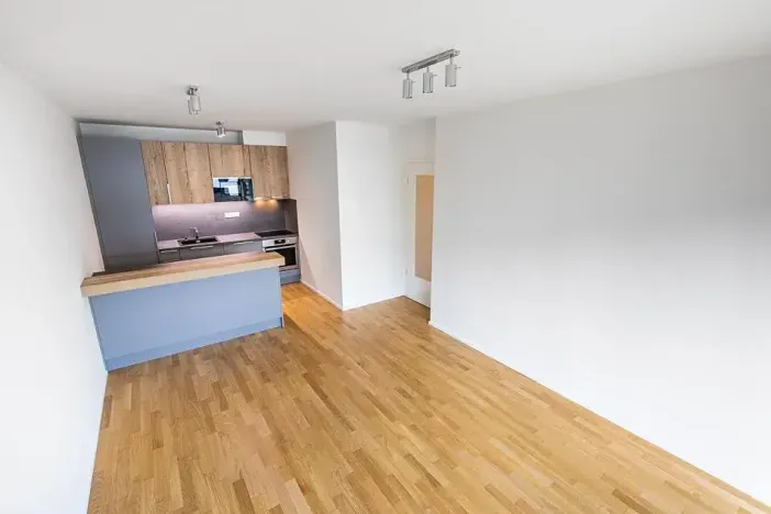 Prodej bytu 3+kk, Praha - Žižkov, U Viktorie, 69 m2