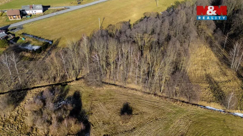 Prodej louky, Dětřichov, 4178 m2