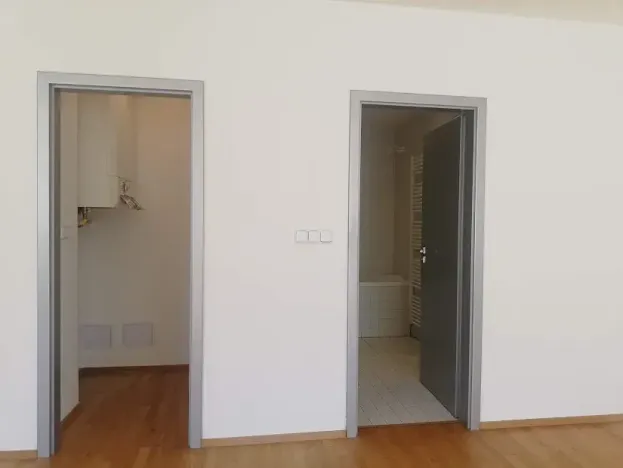 Pronájem bytu 1+kk, Praha - Smíchov, Fráni Šrámka, 46 m2