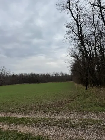 Prodej podílu lesa, Lesonice, 814 m2