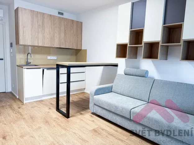 Pronájem bytu 1+kk, Praha - Žižkov, Šrámkové, 34 m2