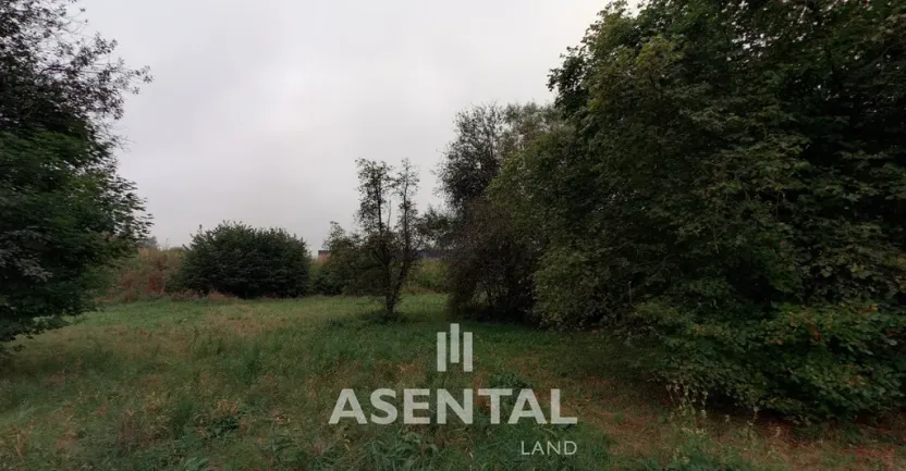 Prodej komerčního pozemku, Rychvald, Myslivecká, 13693 m2