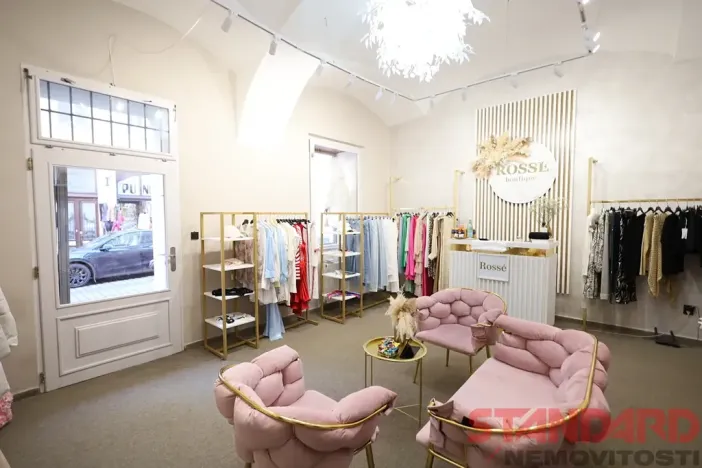 Pronájem obchodního prostoru, Plzeň, Bezručova, 53 m2