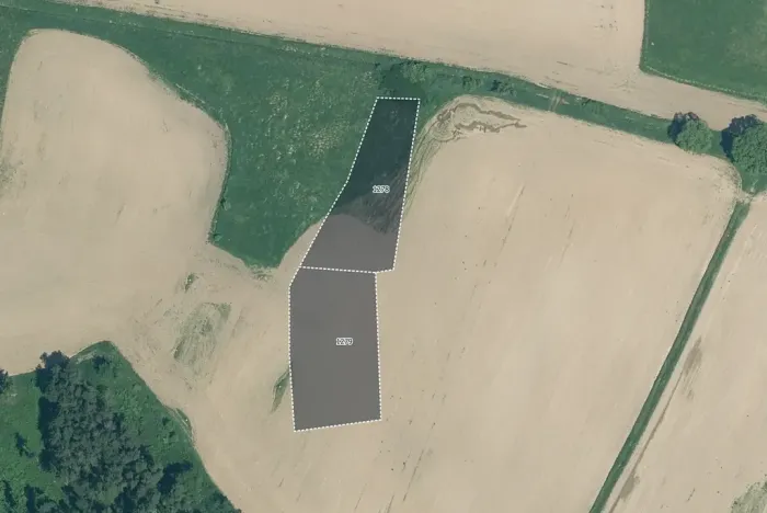 Prodej pole, Velký Bor, 45700 m2