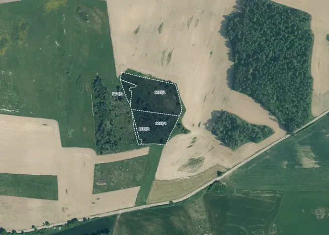 Prodej pole, Velký Bor, 45700 m2