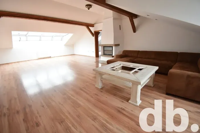 Pronájem bytu 4+kk, Karlovy Vary, Západní, 240 m2