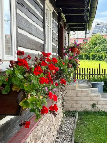 Prodej rodinného domu, Červená Voda, 310 m2