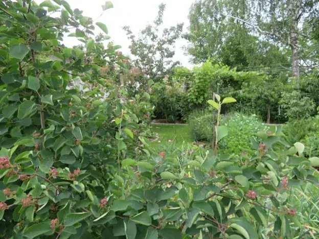 Dražba skladu, Jílové u Prahy, Pražská, 10 m2