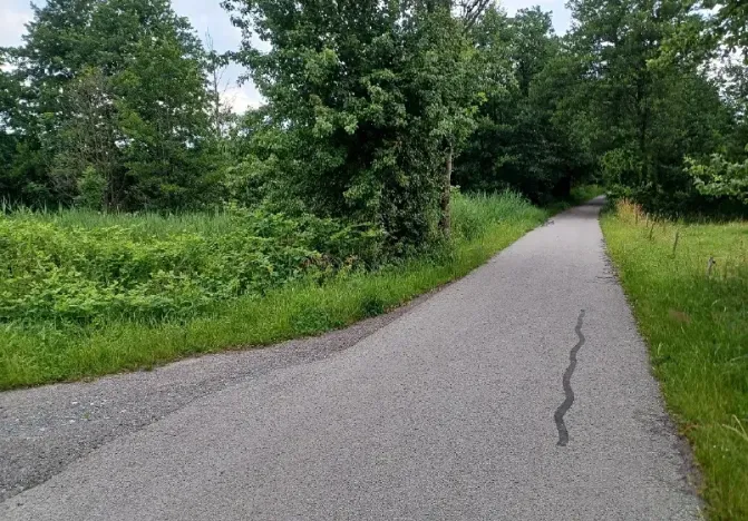 Dražba pozemku, Nový Bor, 1772 m2