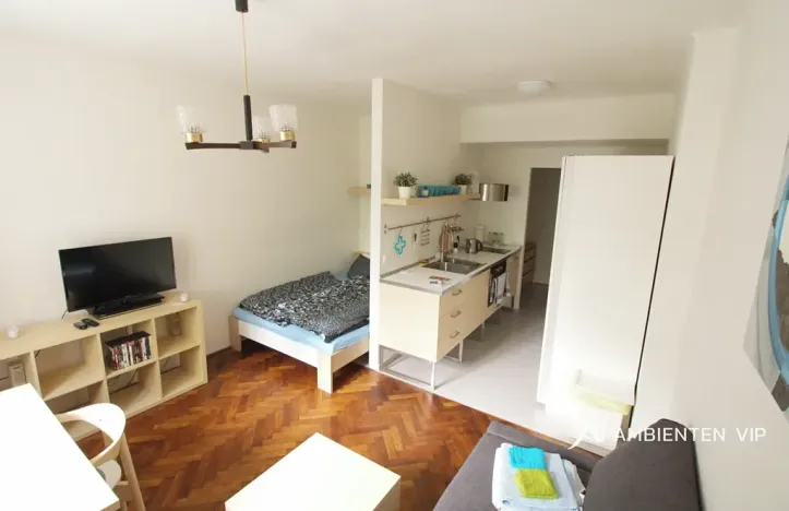 Pronájem bytu 1+kk, Brno, Milady Horákové, 35 m2