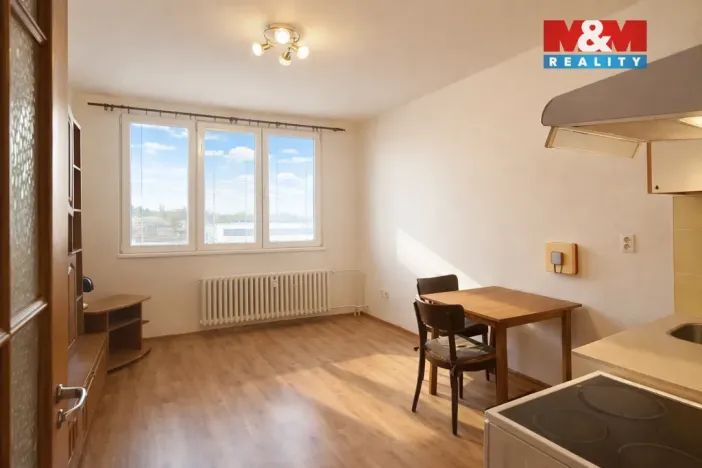 Pronájem bytu 1+kk, Strakonice - Strakonice I, Písecká, 18 m2