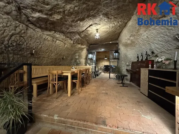 Pronájem restaurace, Mladá Boleslav, Ptácká, 410 m2