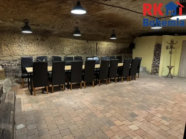 Pronájem restaurace, Mladá Boleslav, Ptácká, 410 m2