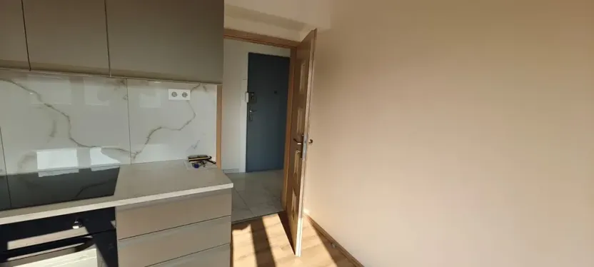 Pronájem bytu 2+kk, Praha - Žižkov, Basilejské náměstí, 48 m2