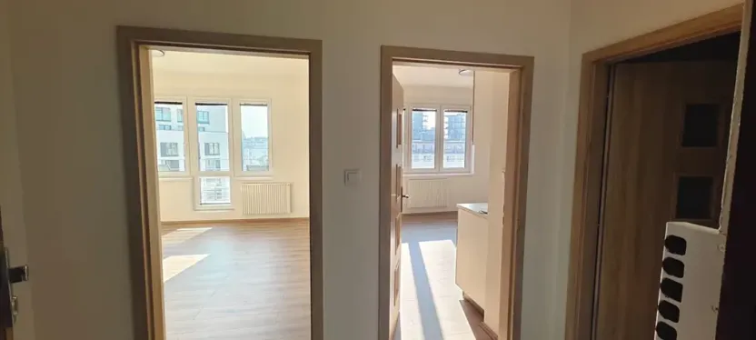 Pronájem bytu 2+kk, Praha - Žižkov, Basilejské náměstí, 48 m2