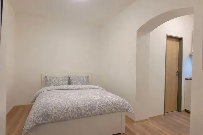 Pronájem bytu 1+kk, Brno, Francouzská, 25 m2