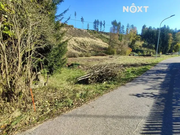 Prodej zahrady, Staré Buky, 2666 m2