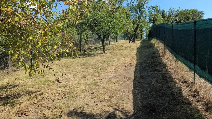 Prodej zahrady, Brno, 319 m2