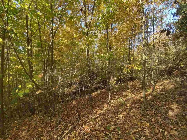 Prodej pole, Železný Brod, 12622 m2