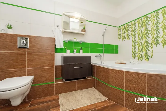 Prodej bytu 2+1, Bystré, Vrchlického, 50 m2