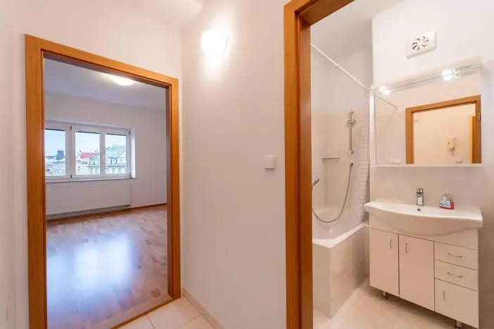 Pronájem bytu 1+1, Olomouc, Na Bystřičce, 41 m2