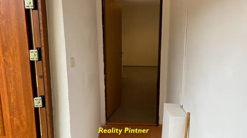 Prodej bytu 1+1, Březnice, V koleji, 40 m2