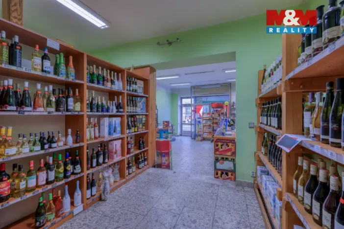 Prodej obchodního prostoru, Starý Plzenec, Smetanova, 57 m2