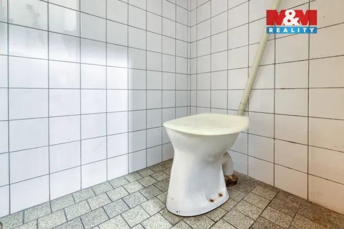 Prodej obchodního prostoru, Starý Plzenec, Smetanova, 57 m2