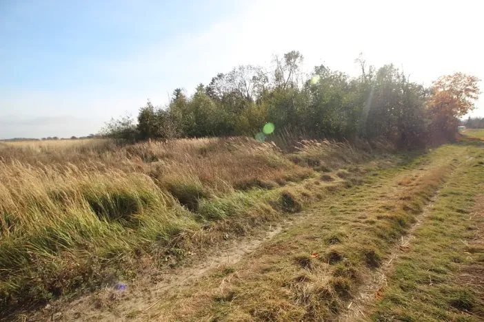 Prodej pozemku, Dolní Břežany, Keltská, 3508 m2