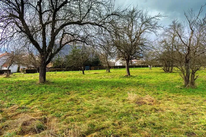 Prodej pozemku pro bydlení, Stádlec, 4550 m2