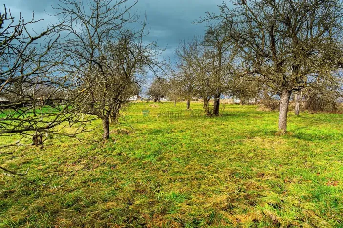 Prodej pozemku pro bydlení, Stádlec, 4550 m2