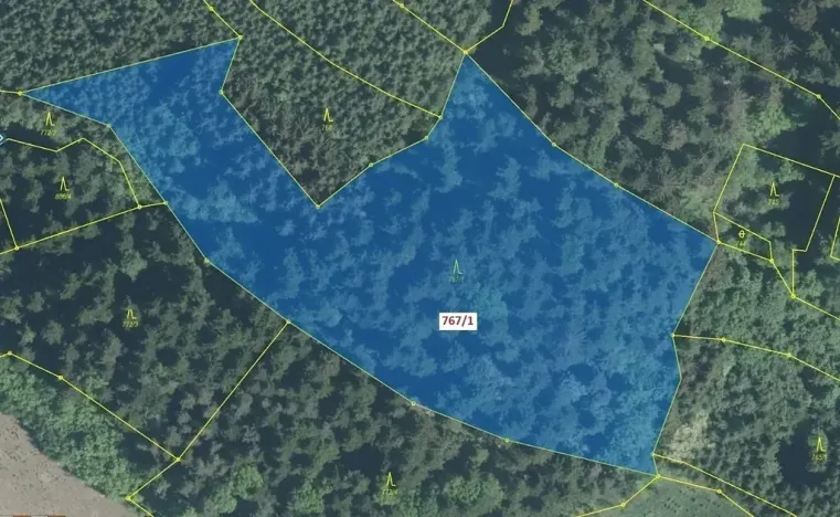 Dražba lesa, Lačnov, 12637 m2