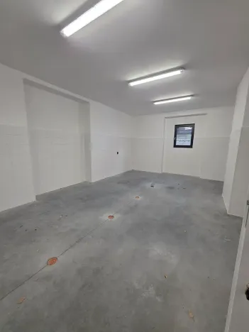 Pronájem skladu, Frýdlant nad Ostravicí, 196 m2