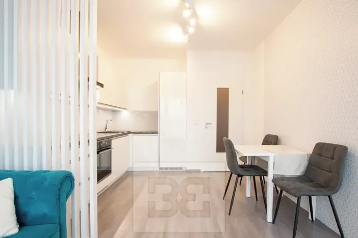 Pronájem bytu 1+kk, Beroun, Na Veselou, 44 m2