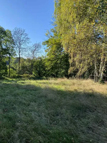 Prodej rodinného domu, Pertoltice pod Ralskem, 800 m2