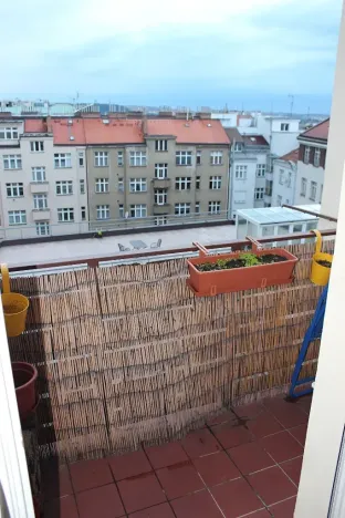 Pronájem bytu 3+1, Praha - Vinohrady, Budečská, 101 m2