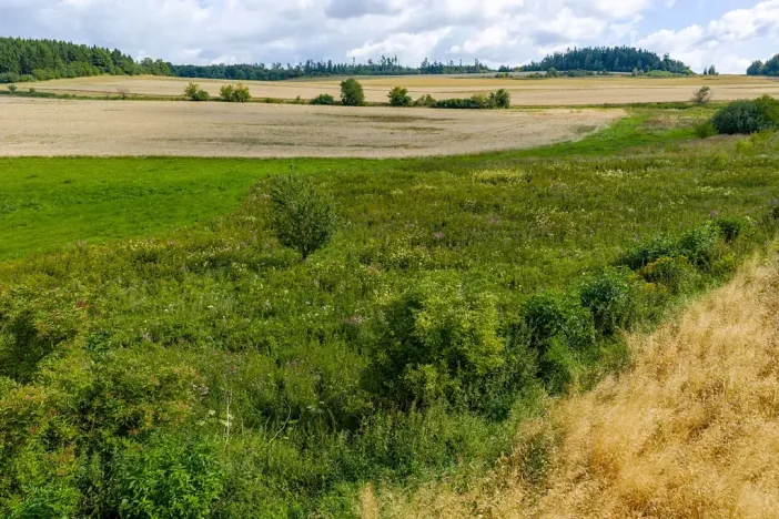 Prodej rybníku, Želetava, 5179 m2