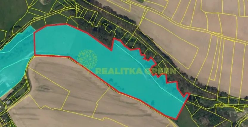 Prodej lesa, Světlá nad Sázavou, 48055 m2