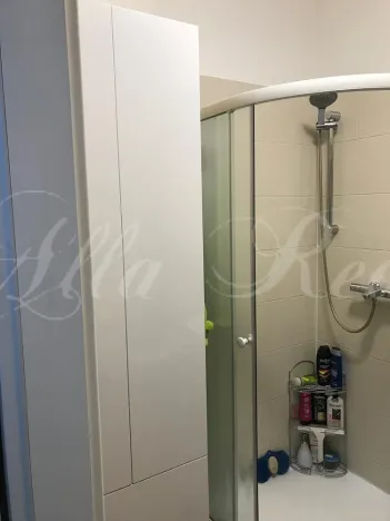 Pronájem bytu 2+kk, Brno - Veveří, Kounicova, 45 m2