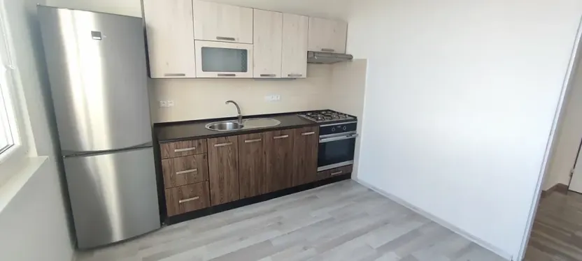 Pronájem bytu 1+1, Ostrava, Ahepjukova, 37 m2