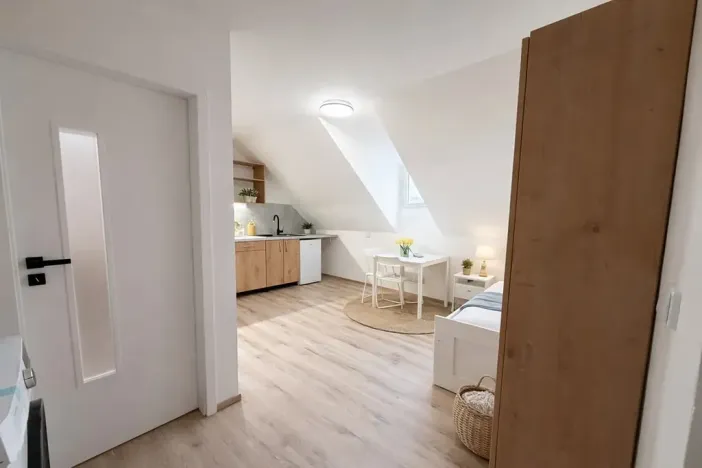 Pronájem bytu 1+kk, Praha - Nusle, Dačického, 22 m2
