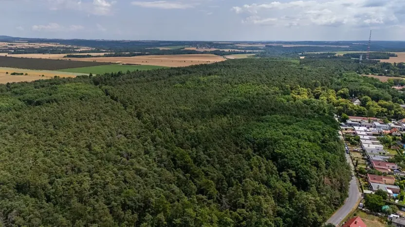 Prodej zemědělské usedlosti, Mělník, Chloumecká, 93 m2
