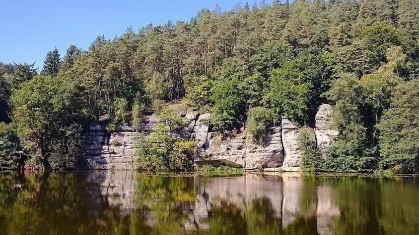 Prodej lesa, Vysoká, 12485 m2