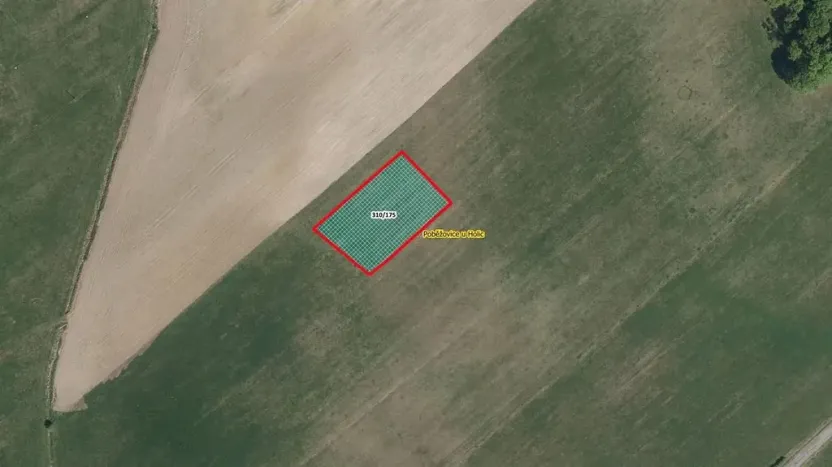 Prodej pole, Poběžovice u Holic, 2612 m2